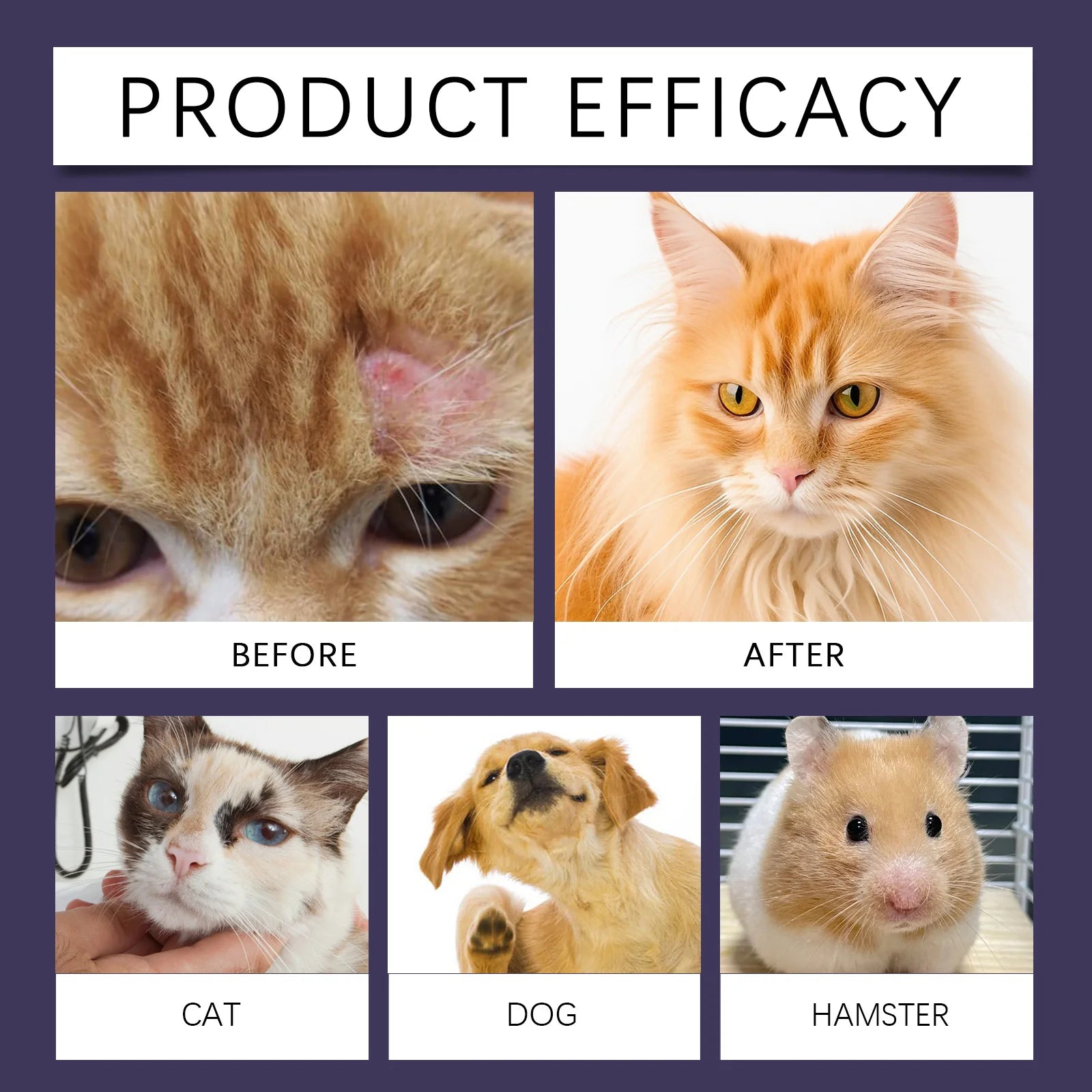Pawlished Gentle Pet Protection Spray™