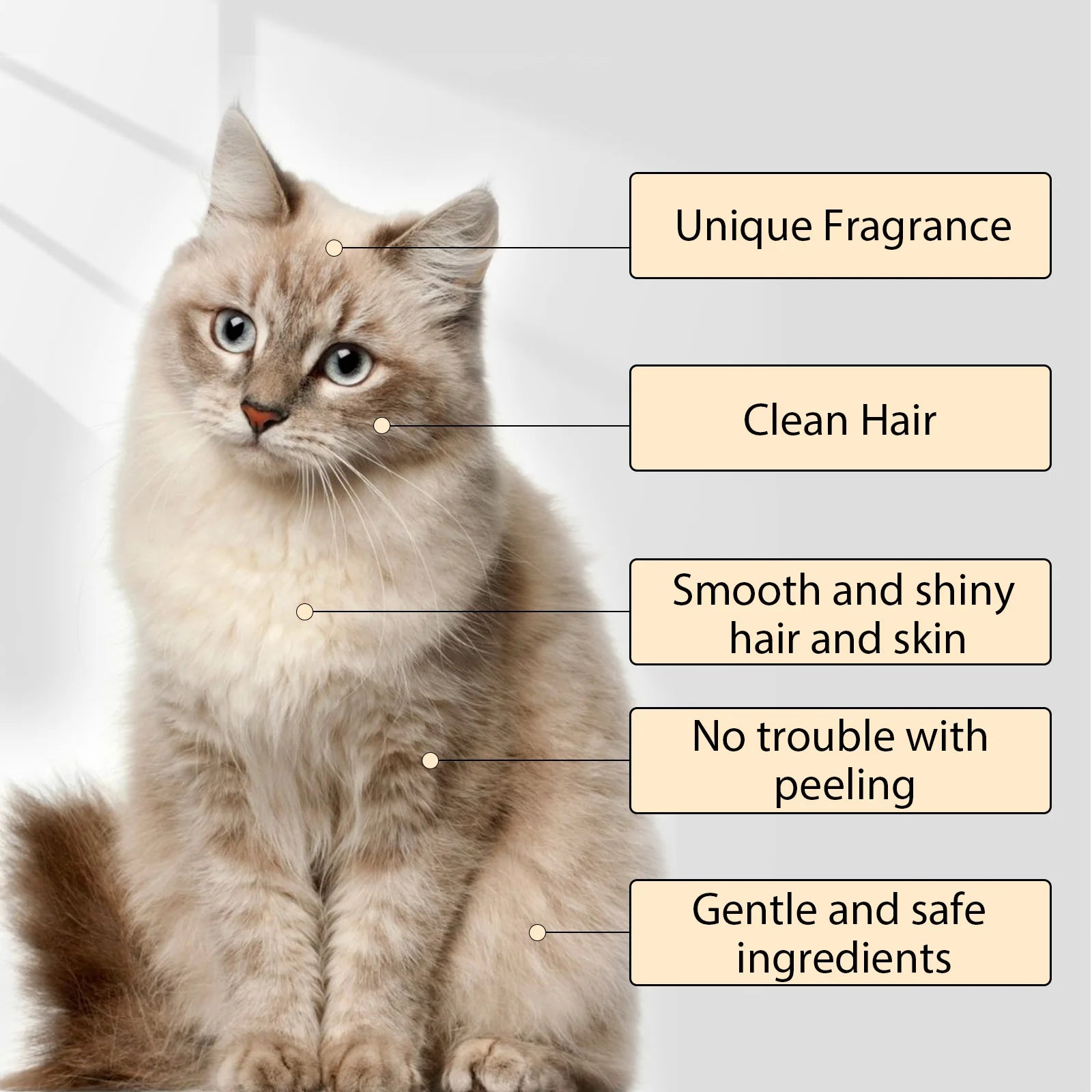 Pawlished Gentle Pet Wash Shampoo™